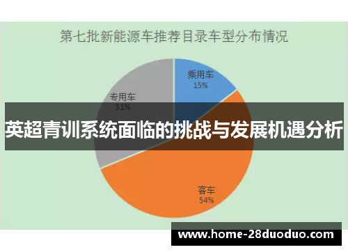 英超青训系统面临的挑战与发展机遇分析