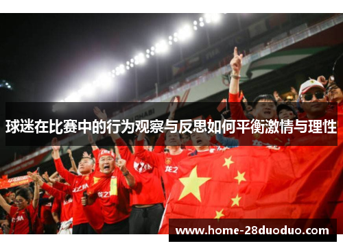 球迷在比赛中的行为观察与反思如何平衡激情与理性