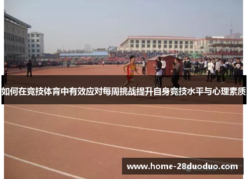 如何在竞技体育中有效应对每周挑战提升自身竞技水平与心理素质