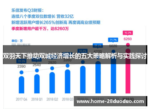 双羽天下推动双城经济增长的五大策略解析与实践探讨
