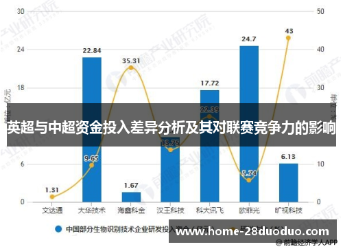 英超与中超资金投入差异分析及其对联赛竞争力的影响
