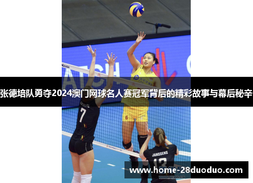张德培队勇夺2024澳门网球名人赛冠军背后的精彩故事与幕后秘辛