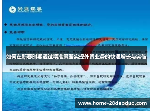 如何在新春时期通过精准策略实现外贸业务的快速增长与突破