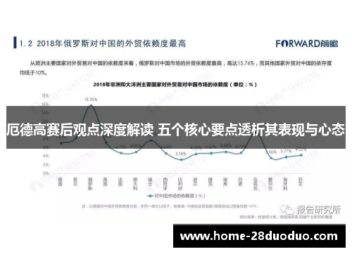 厄德高赛后观点深度解读 五个核心要点透析其表现与心态