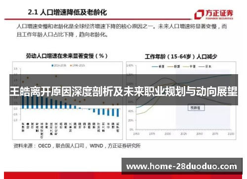王皓离开原因深度剖析及未来职业规划与动向展望