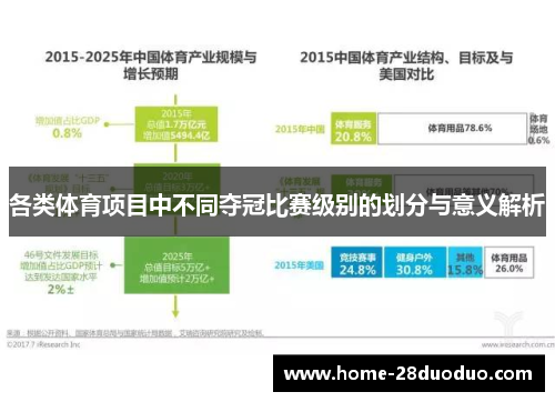 各类体育项目中不同夺冠比赛级别的划分与意义解析