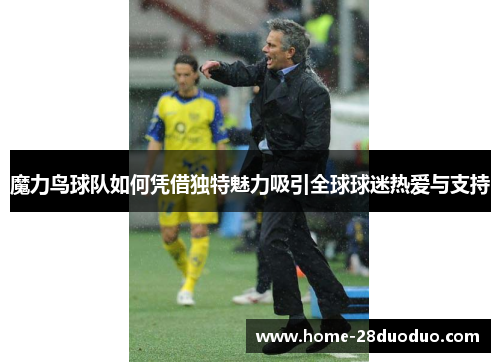 魔力鸟球队如何凭借独特魅力吸引全球球迷热爱与支持
